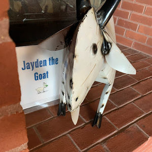 Meet your Posher, Jayden